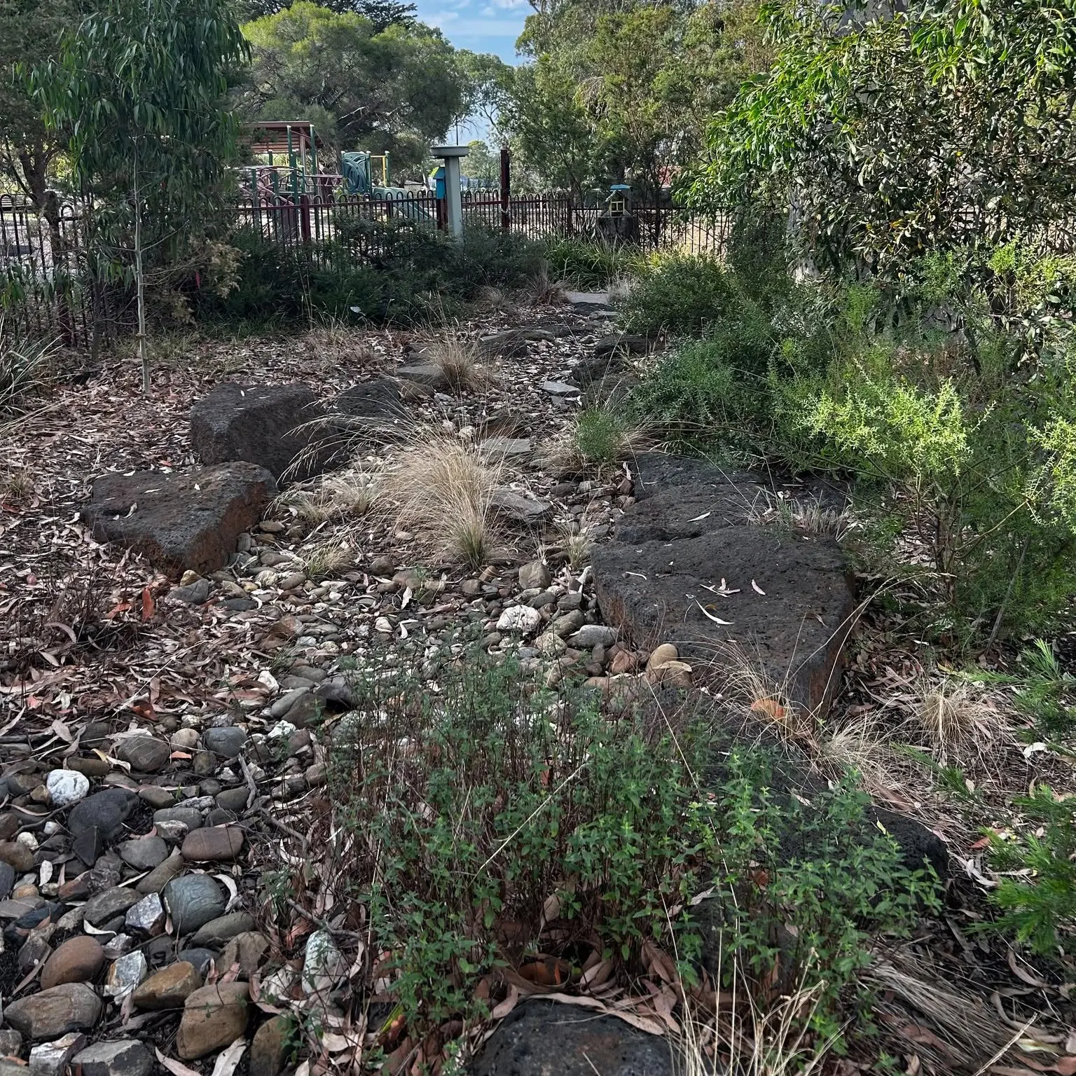 The dry creek bed winding through the garden under tall gum trees